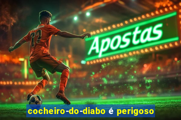 cocheiro-do-diabo é perigoso