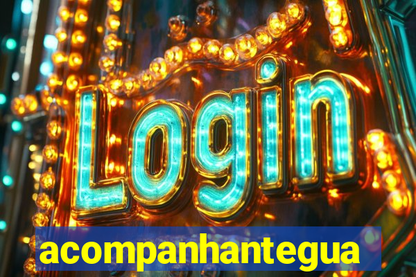 acompanhanteguanambi