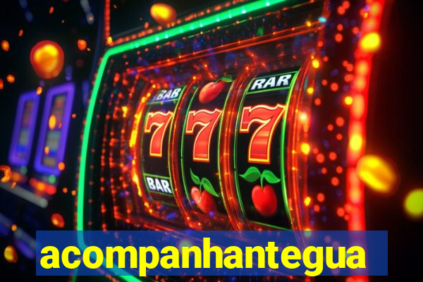 acompanhanteguanambi