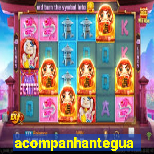 acompanhanteguanambi