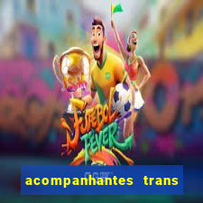 acompanhantes trans baixada fluminense