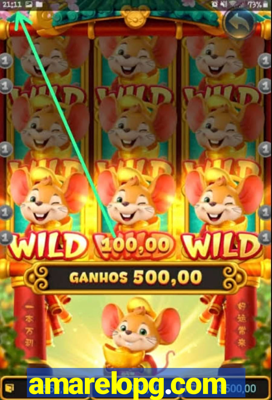 amarelopg.com