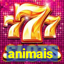 animais-pg.com