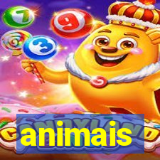 animais-pg.com