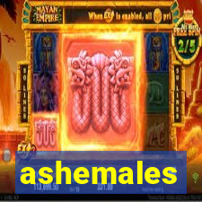 ashemales