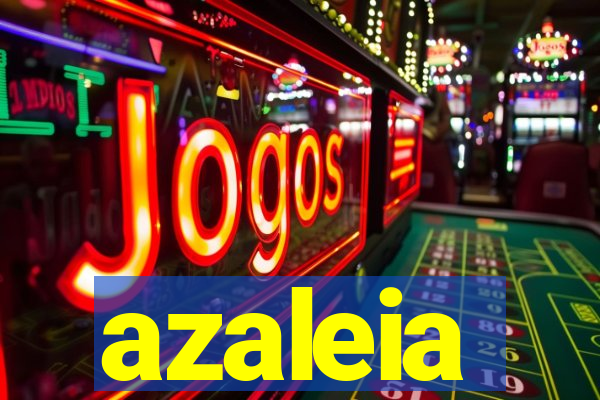 azaleia-br.com