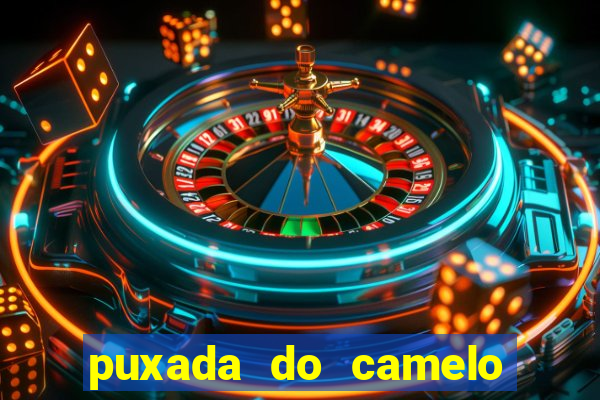 puxada do camelo no jogo do bicho
