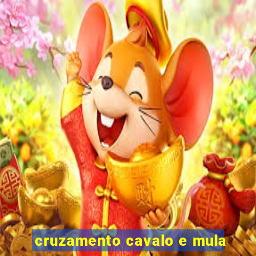cruzamento cavalo e mula