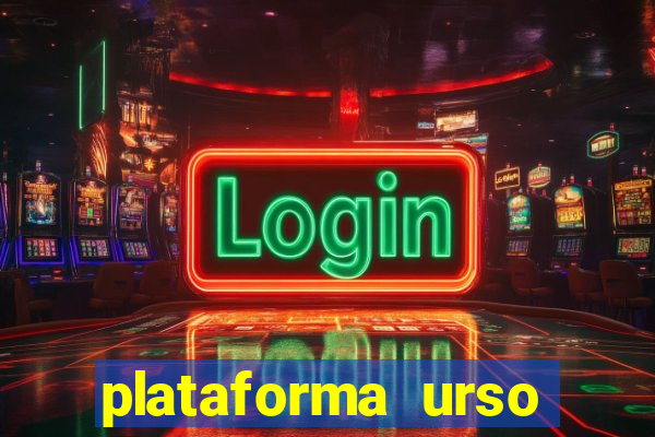 plataforma urso polar 777