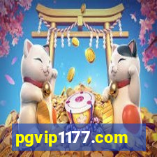 pgvip1177.com