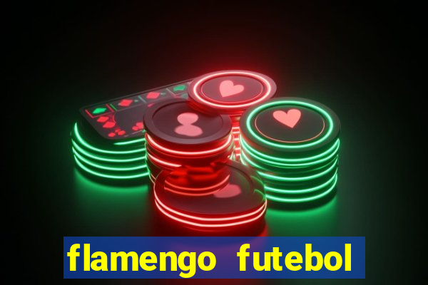 flamengo futebol play hd
