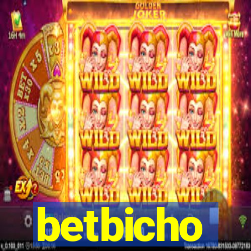 betbicho