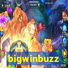 bigwinbuzz