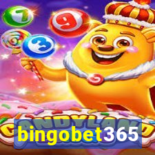 bingobet365