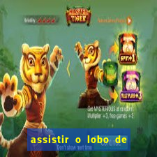 assistir o lobo de wall street grátis