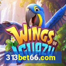 313bet66.com