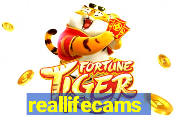 reallifecams