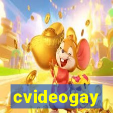 cvideogay