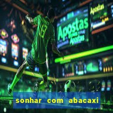sonhar com abacaxi no jogo do bicho