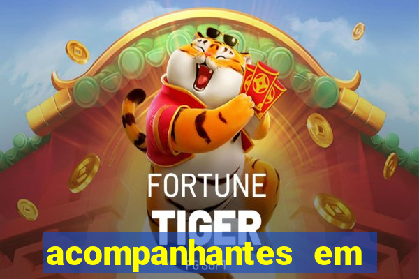 acompanhantes em santos trans
