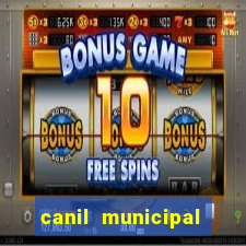 canil municipal porto alegre