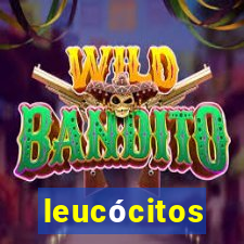 leucócitos segmentados altos