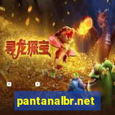 pantanalbr.net