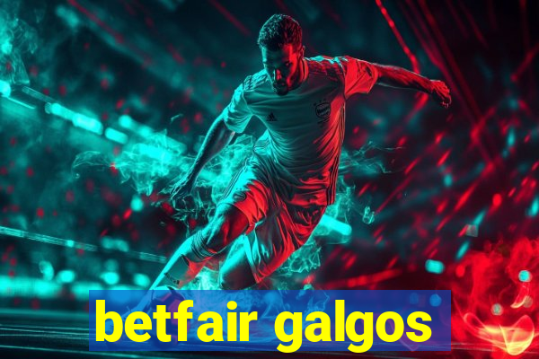 betfair galgos