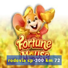 rodovia sp-300 km 72