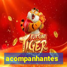 acompanhantes travesti de santos