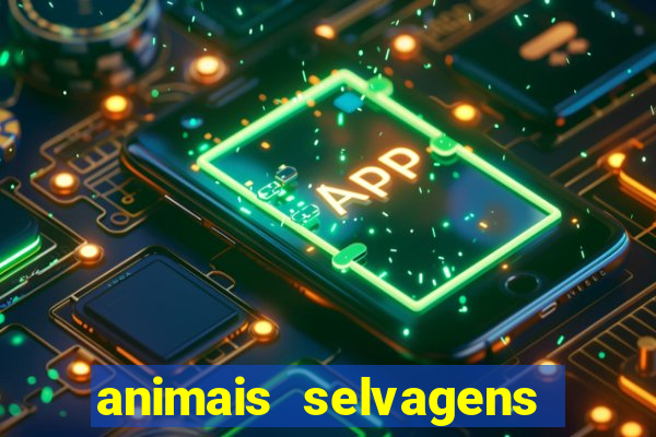 animais selvagens fotos e nomes