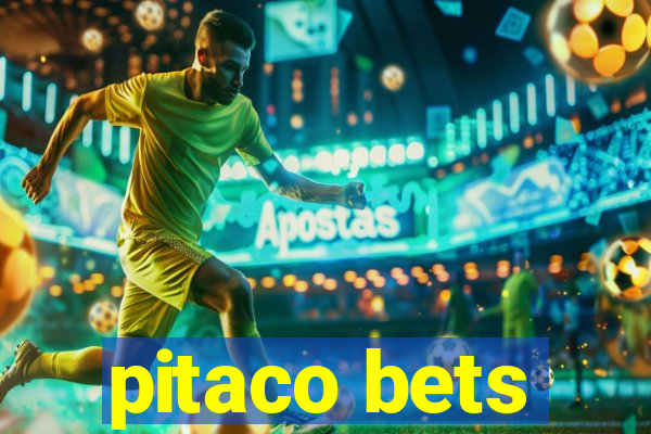 pitaco bets