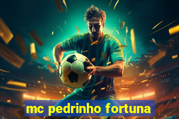 mc pedrinho fortuna