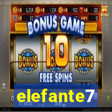elefante7