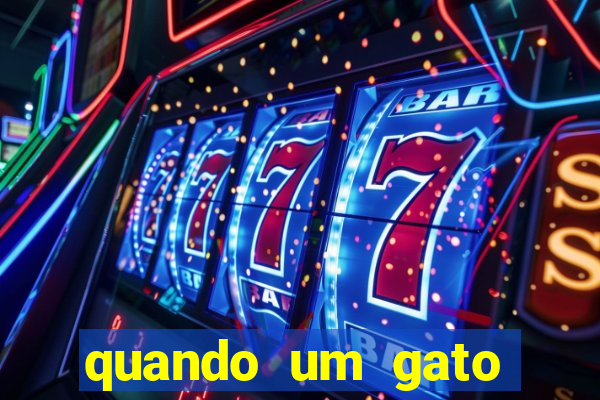 quando um gato aparece do nada significado espiritual