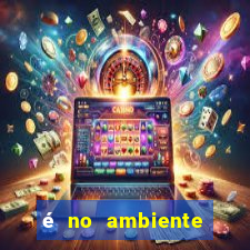 é no ambiente interno de uma empresa que se encontra