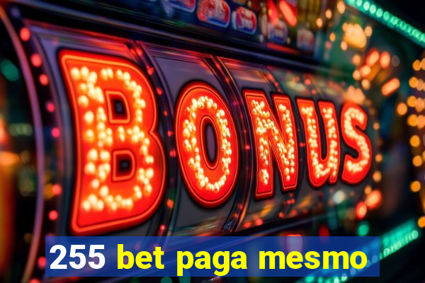 255 bet paga mesmo
