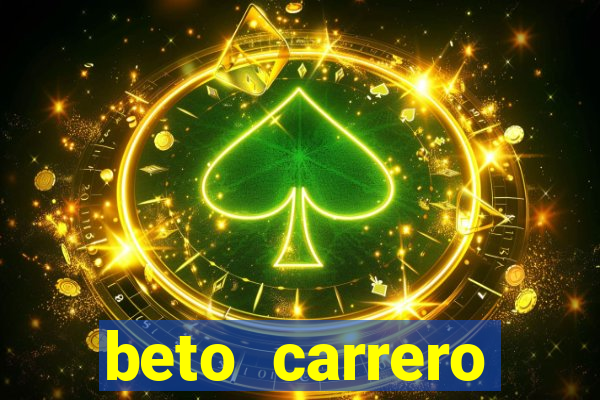 beto carrero cidades proximas