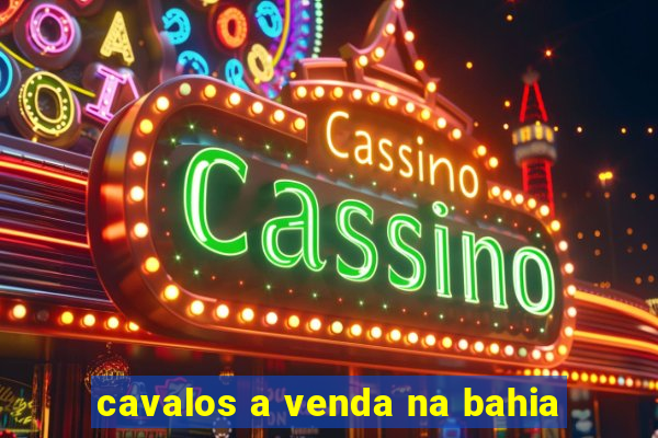 cavalos a venda na bahia