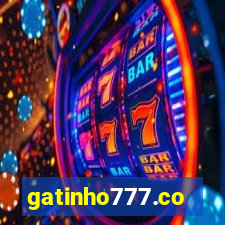 gatinho777.co
