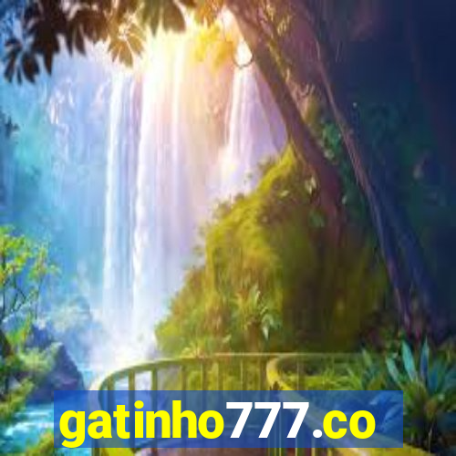 gatinho777.co