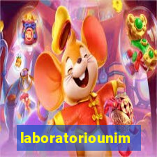 laboratoriounimedblumenau.com.br