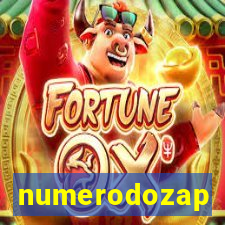 numerodozap
