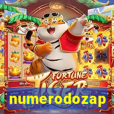 numerodozap