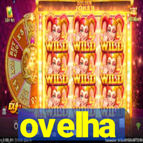 ovelha