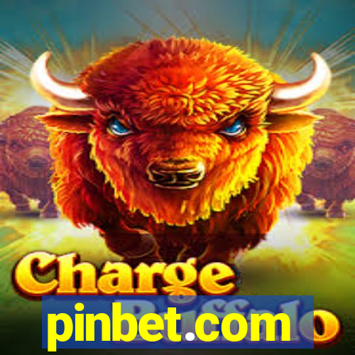 pinbet.com