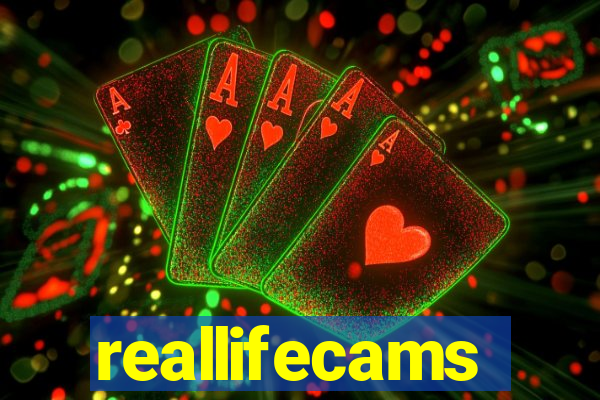 reallifecams