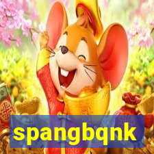 spangbqnk