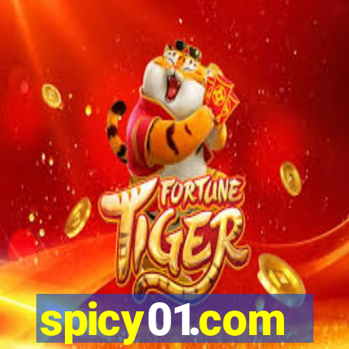 spicy01.com