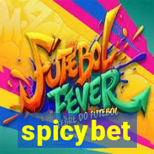 spicybet-3.com